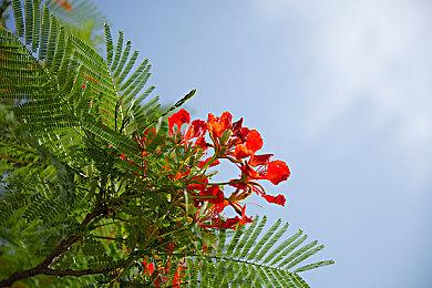 《女巫悲歌》Steam发售 综合评价“特别好评”